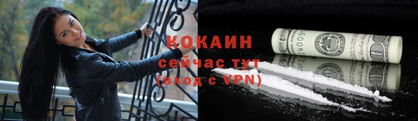 трава Наволоки
