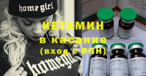 трава Наволоки