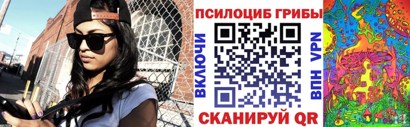 цены   Кущёвская  Галлюциногенные грибы прущие грибы 
